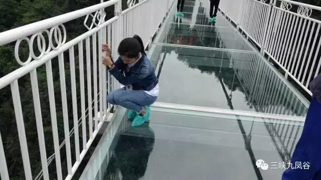 三峡九凤谷130米长玻璃桥等你来挑战！爱我，就抱我过去！哈哈……