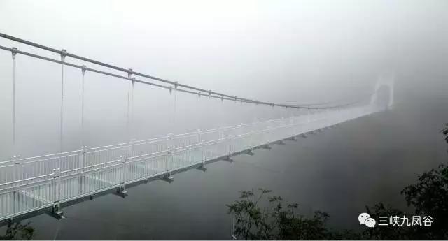 三峡九凤谷130米长玻璃桥等你来挑战！爱我，就抱我过去！哈哈……