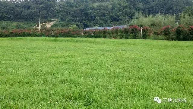 三峡九凤谷130米长玻璃桥等你来挑战！爱我，就抱我过去！哈哈……