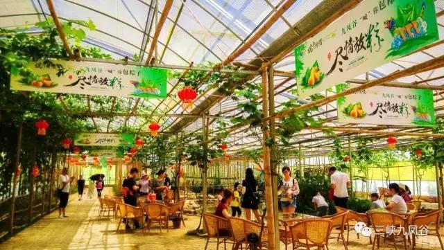 三峡九凤谷130米长玻璃桥等你来挑战！爱我，就抱我过去！哈哈……