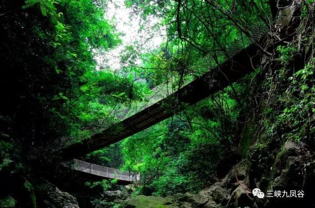 三峡九凤谷130米长玻璃桥等你来挑战！爱我，就抱我过去！哈哈……
