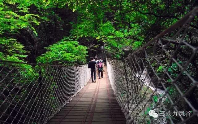 三峡九凤谷130米长玻璃桥等你来挑战！爱我，就抱我过去！哈哈……