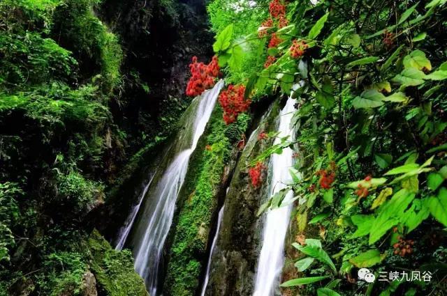 三峡九凤谷130米长玻璃桥等你来挑战！爱我，就抱我过去！哈哈……