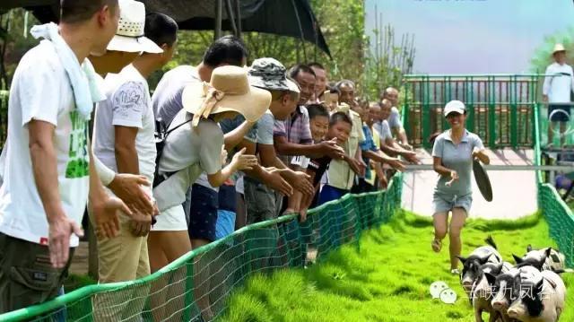 三峡九凤谷130米长玻璃桥等你来挑战！爱我，就抱我过去！哈哈……