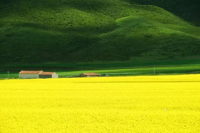 中国夏天最美的一条大环线，去一次终身难忘