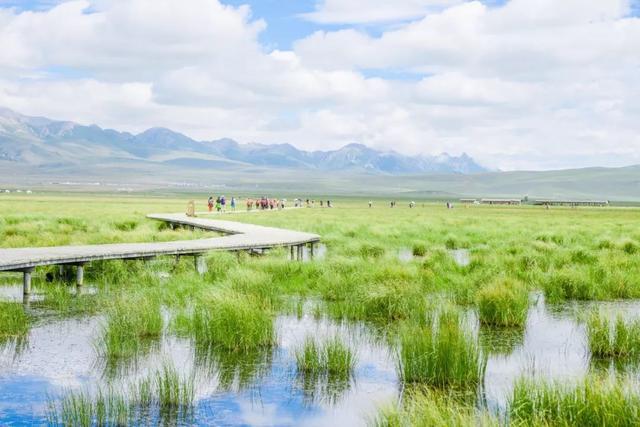 错过等一年！国内最低调的花海秘境，即将迎来颜值巅峰