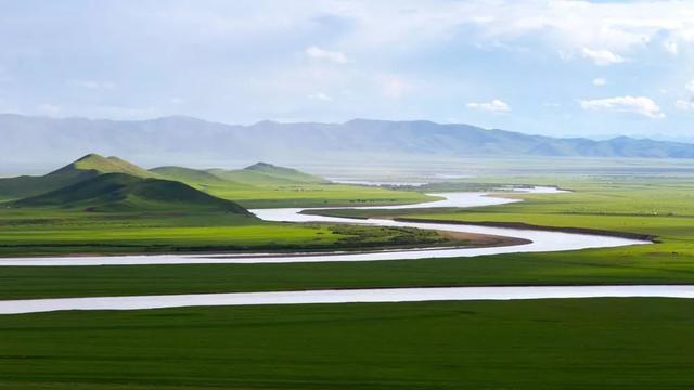 错过等一年！国内最低调的花海秘境，即将迎来颜值巅峰