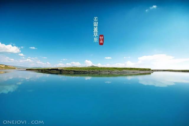 错过等一年！国内最低调的花海秘境，即将迎来颜值巅峰