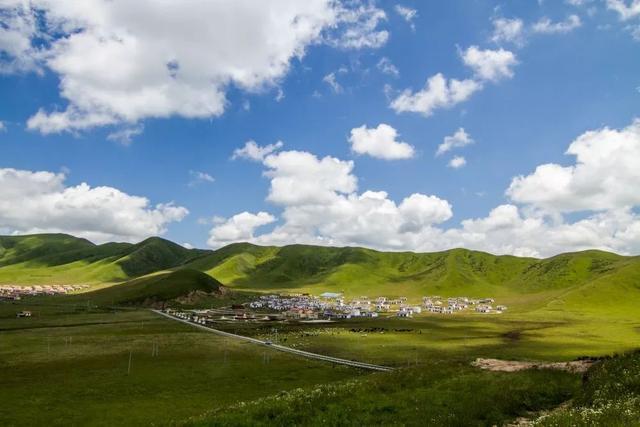错过等一年！国内最低调的花海秘境，即将迎来颜值巅峰