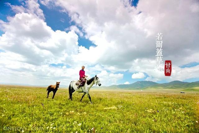错过等一年！国内最低调的花海秘境，即将迎来颜值巅峰
