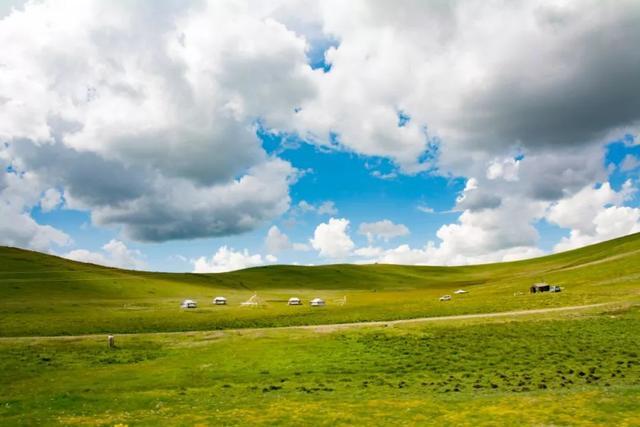 错过等一年！国内最低调的花海秘境，即将迎来颜值巅峰