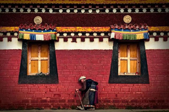 错过等一年！国内最低调的花海秘境，即将迎来颜值巅峰