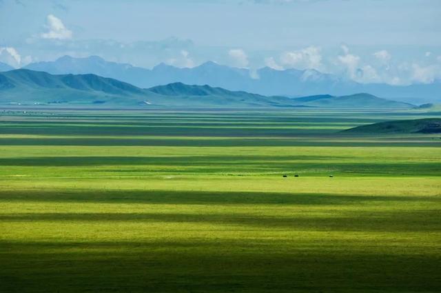 错过等一年！国内最低调的花海秘境，即将迎来颜值巅峰