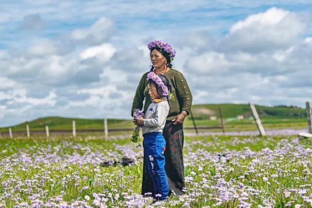 错过等一年！国内最低调的花海秘境，即将迎来颜值巅峰