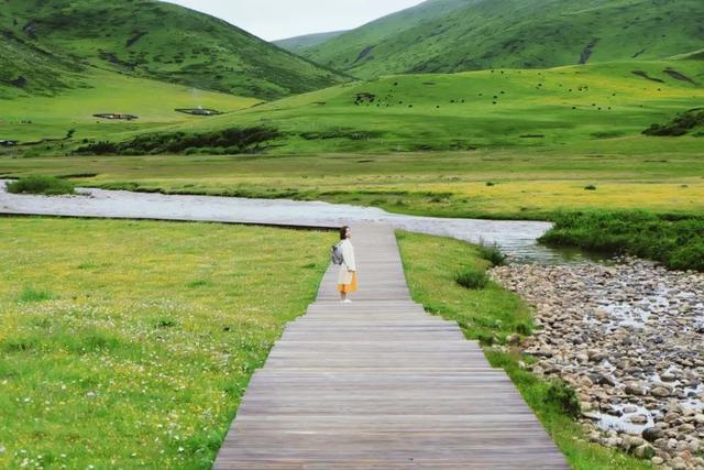 错过等一年！国内最低调的花海秘境，即将迎来颜值巅峰