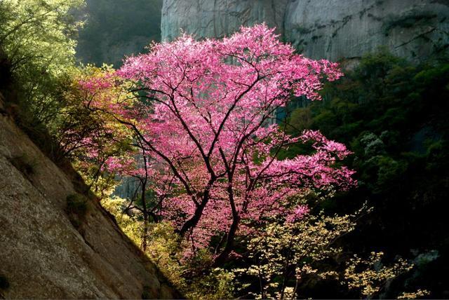 2019，一定要去太白山