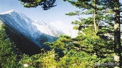 看完这五条，不知道你还敢不敢来宝鸡太白山！胆小请绕路