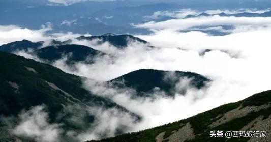 看完这五条，不知道你还敢不敢来宝鸡太白山！胆小请绕路