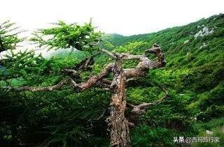 看完这五条，不知道你还敢不敢来宝鸡太白山！胆小请绕路