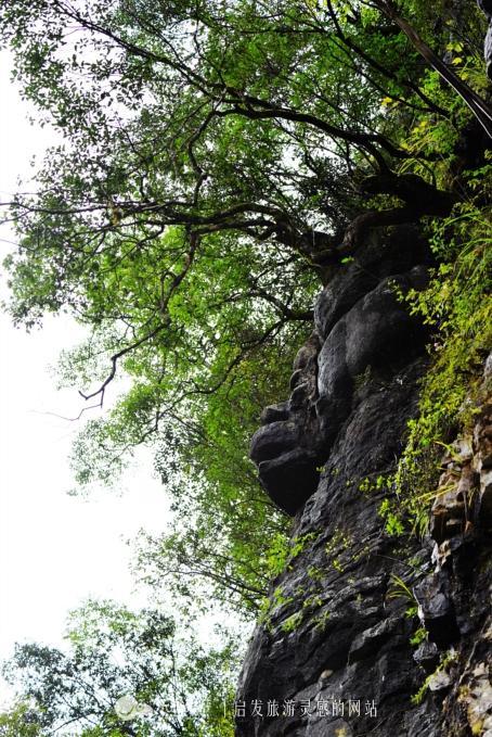恩施有个石门河，关不住的神奇