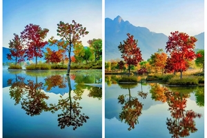 十堰+襄阳-11月11日发团-挺进大别山丨参加罗田水上红叶节+圣人堂红叶+大别山主峰天堂寨+甜柿第一村4日游999元