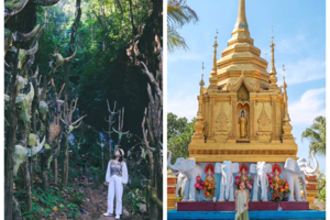 高品散拼-12月13/20日发团-云南虫谷丨无量山冬樱花+哀牢山+2次云海+原始部落翁丁+佤王宴等8日游