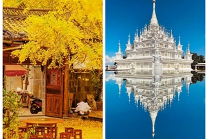 高品散接-11月29日发团-腾冲金秋花事丨腾冲银杏+芒市+无量山樱花+特色餐（孔雀宴+南涧跳菜宴）7日游