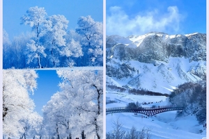 高品散拼-12月1日起-雪乡+延吉升级版丨最美雪乡+哈尔滨+延吉+长白山+吉林纯玩7日游