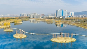 12月18日/20日/21日连发三期-水上云梯+最近的海看海鸥丨淅川丹江+渠首+水上云梯游玩一日游88元/人