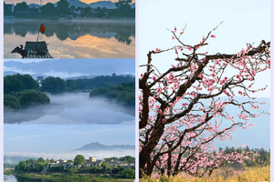最美徽州|泾县桃花潭+查济古村落+黄山+宏村+五里村桃花+西递+徽州古城+新安江山水画廊+屯溪老街+西溪南悠闲7日游