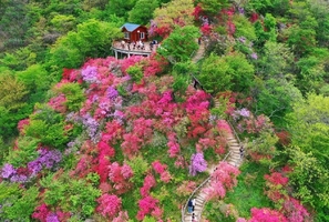 十堰+襄阳-挺进大别山|兰花产业园+湖北天堂寨/薄刀峰+天马寨+温泉+紫薇山庄+天堂湖+水岸花海4日游