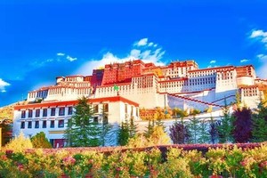 独家长线01B-自驾318+西藏+稻亚丨7月8/7月29日发团丨川进青出经典318西藏之旅！