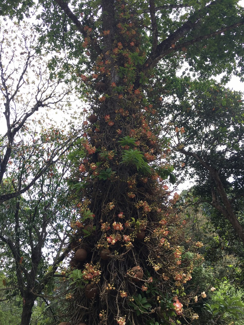 mmexport1519829057002