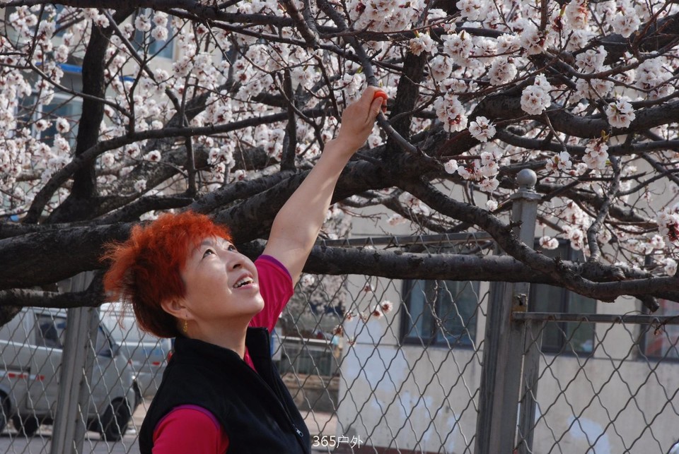 mmexport1524147871031