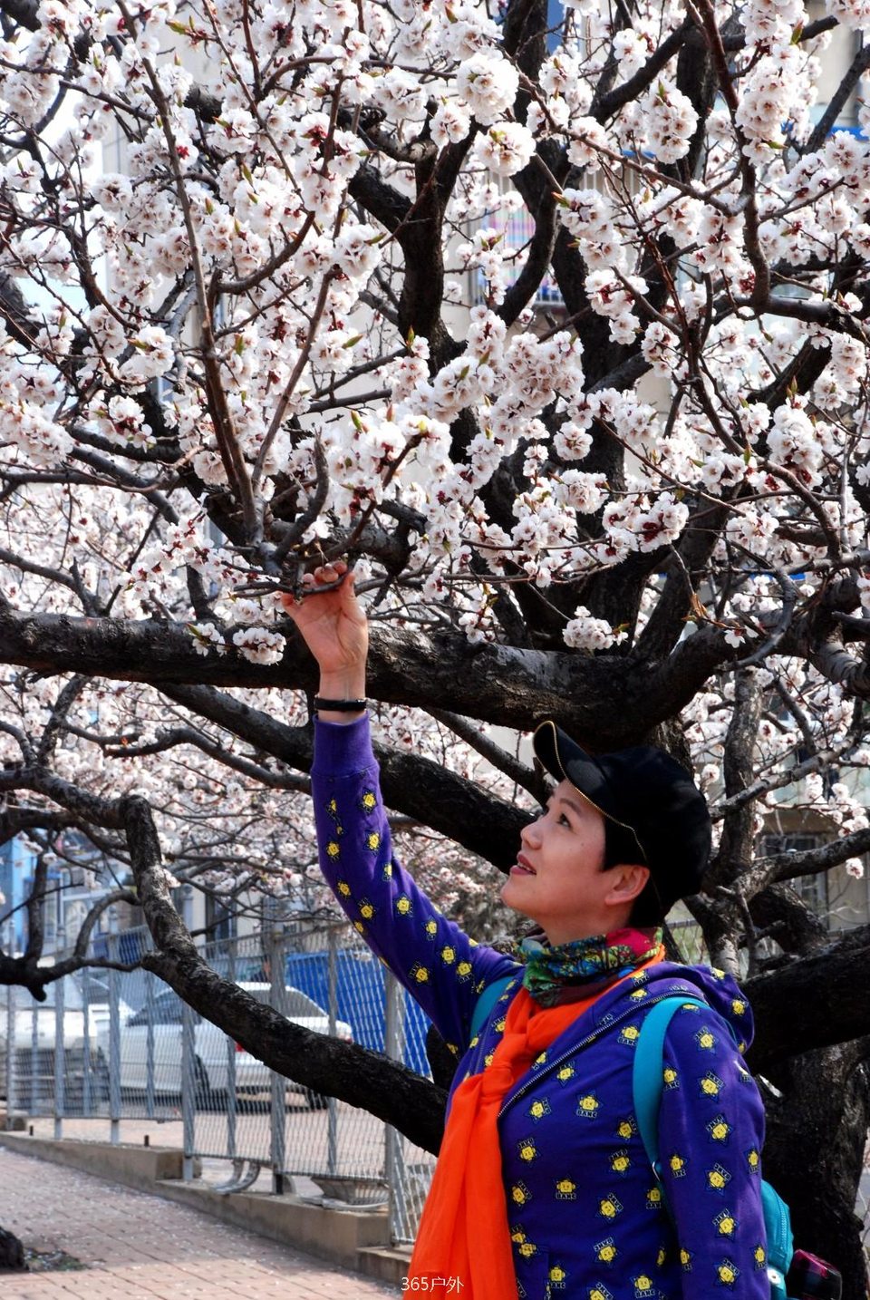 mmexport1524147855940