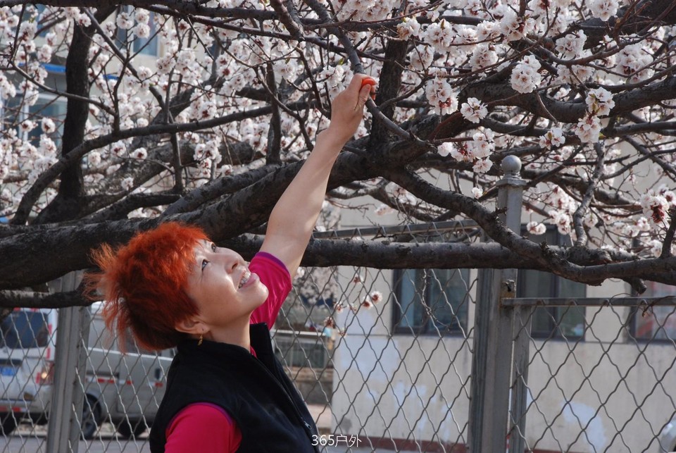 mmexport1524147866236