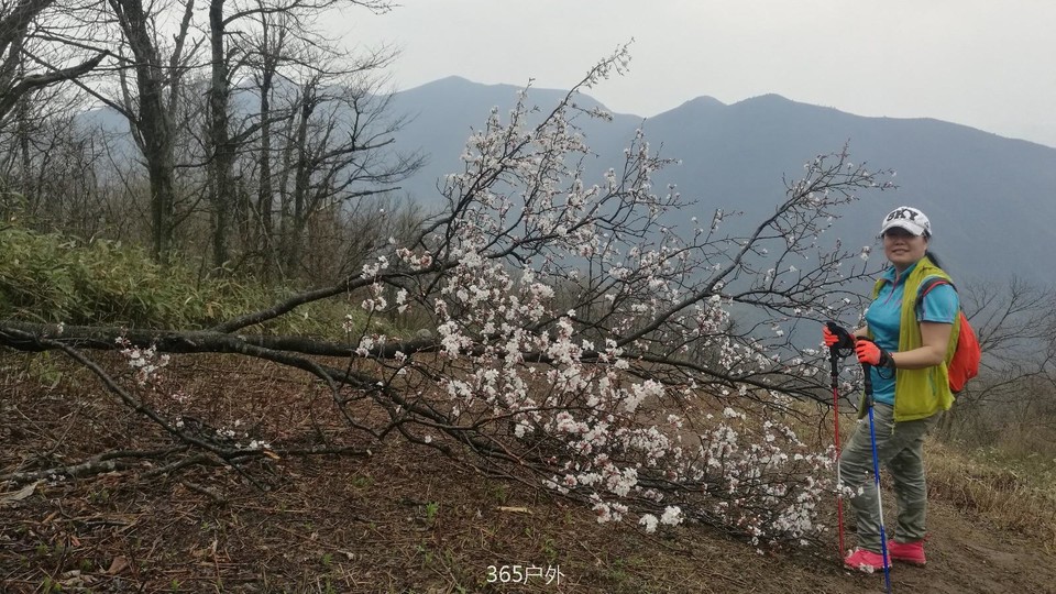 IMG_20180402_105011_1