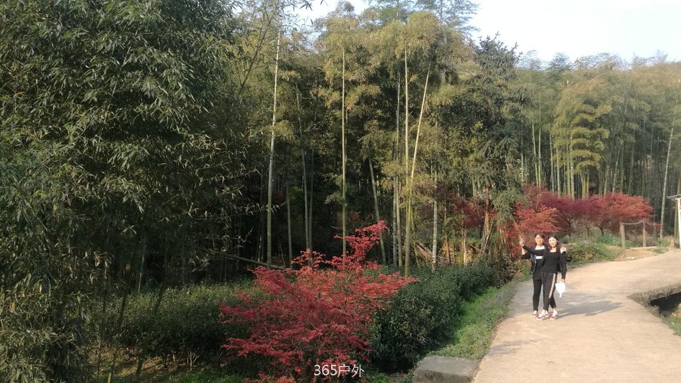 IMG_20180401_073626_1