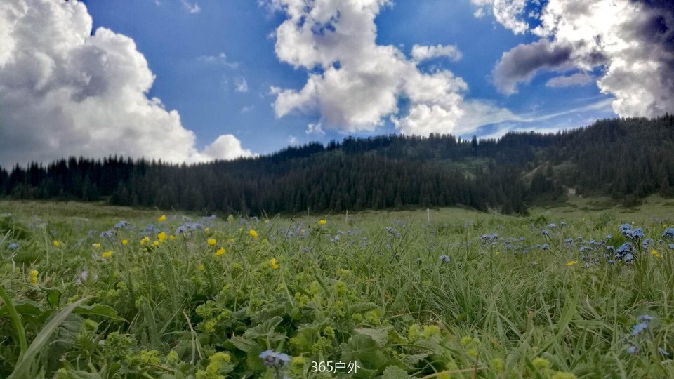 5LHJ1eW9Prc4dPhCcRO3oooXdl7S3PyuxaOY07P86CvZGBUYtz71Rg4VbWxs5ToZ