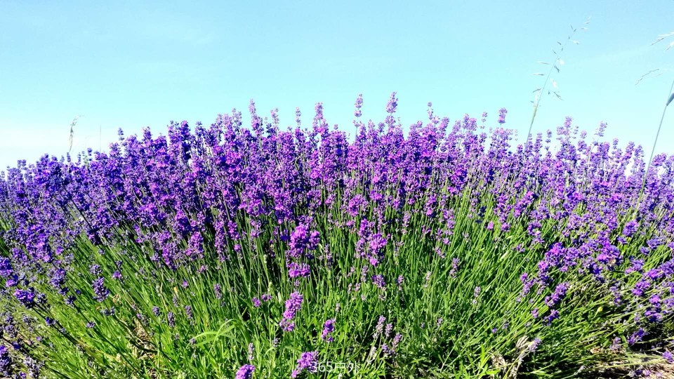 diTROdtCtu0VGjqRqNXJqiDuIpbPjPqfV3-HfUpbLGRj7bZ3IbWfbkggcJWG6izl