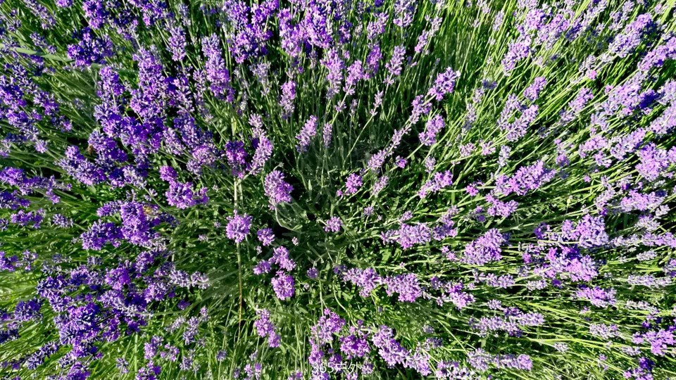 WuV8qVcRGy0rxx9eiL2j1JUb_Cm3XsKS-GvcdrAUdprAXjenRoYvE6QYg3-Huh4o