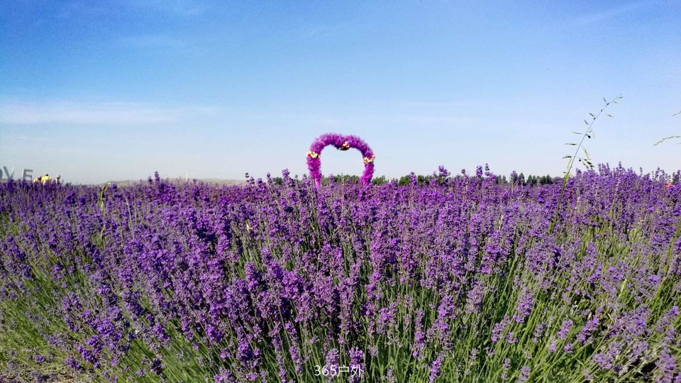 Sx7LQHC9D6msvxCJWJ3du9Eq4UIskDwnZn4DAeacxfmXveWlg-WVM78Ah7ejs8so