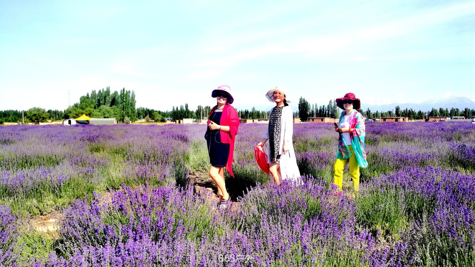 ogiiOZsIuhCFnFPGpjfAaY0_FqMRuRGD1b_g1AXJCoTyBxOLk5RaUmGQTNsgGmvL