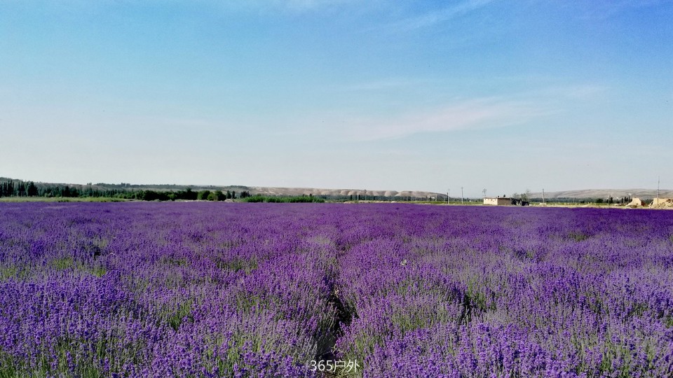 bPYpXzncSCbdE0yFCyRb-AbSqHKLHs7GA-oT0BZUrDPNgHmfDsOs2VQqBhIrY1j5