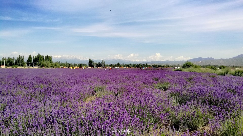 e9zwlqxIS3EeJ0lXEUpKIPxkkVOj3YamU6cRdC2uNQD_cpWMz5JSARv90Vv_vYoi