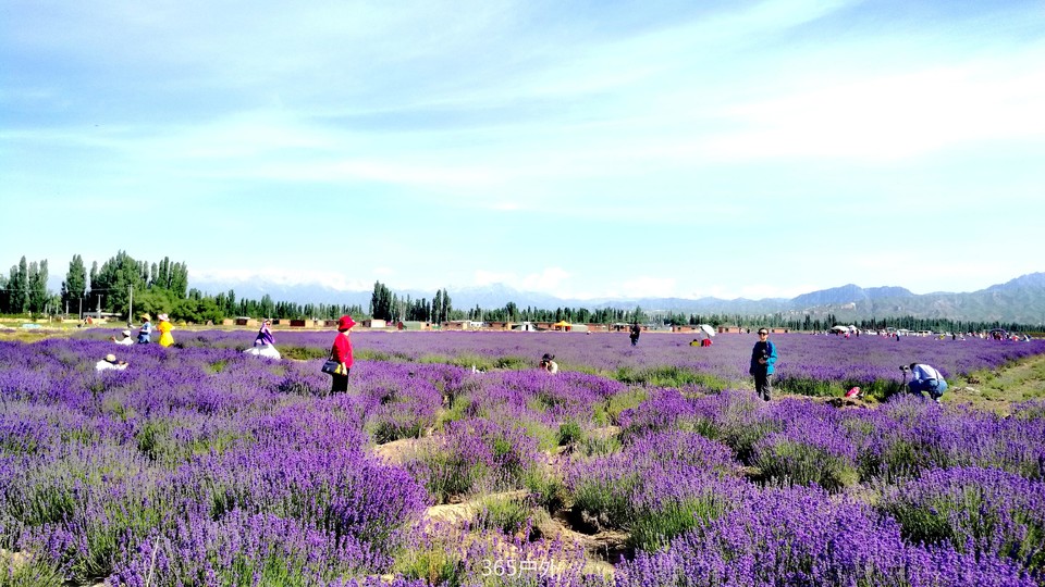 mJ5Rt-GBRBFIidrqBUDPBLMVC2SiBkq6T3rZben5HQ-LV58RnKvH4OdODG4-JTLx