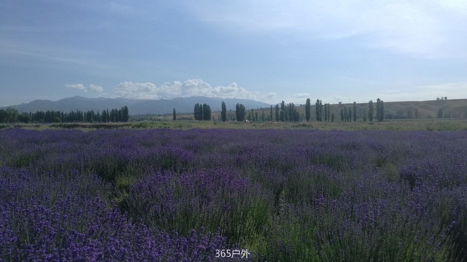 -yi1Vtyh_Yu2WNw13L3LugZgkV3vzIAgWfwFx3DLRmpqpdbqmUmEy27YLjctlZtC