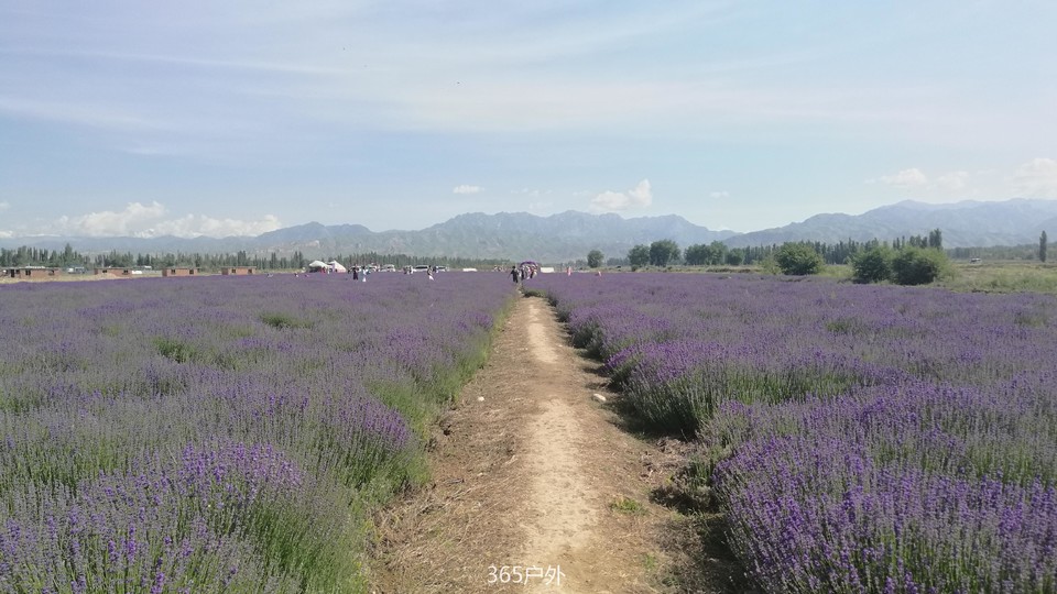 -KrjDa7LpOU1Pvw3Itotp_dfXBqpxQURSSA77BqxYtPTbKoC_95U6zPH9O9Y2Go-