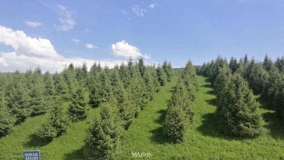 f_kKY2WDU1VAf2YZuj2ASsLuXnVfQKBc3Lx0cpZIWdtkKEPo4mp9lBc2WXbdqs8Y