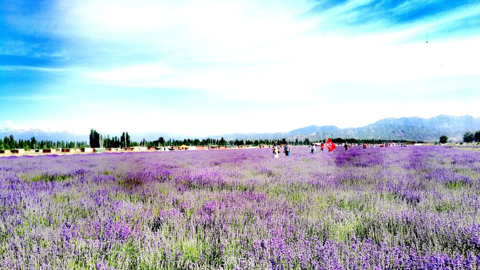 zfBdefnep1jwOt-eoTs5zwD5YI4hOxevVRI-r8N-_sC-tGKlmFYAFf0HyzhoGXeo